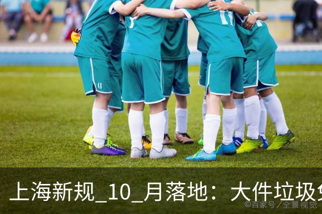 上海新规 10 月落地：大件垃圾免费清运！看似市民减负，环卫收运体系或将迎来爆单危机