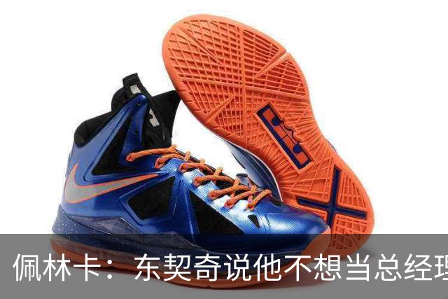 佩林卡：东契奇说他不想当总经理或主教练