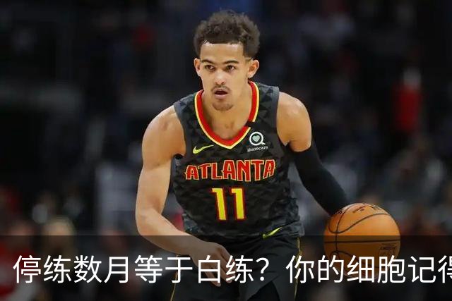 停练数月等于白练？你的细胞记得每一次流汗