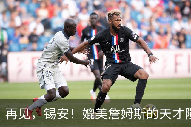 再见，锡安！媲美詹姆斯的天才陨落了……