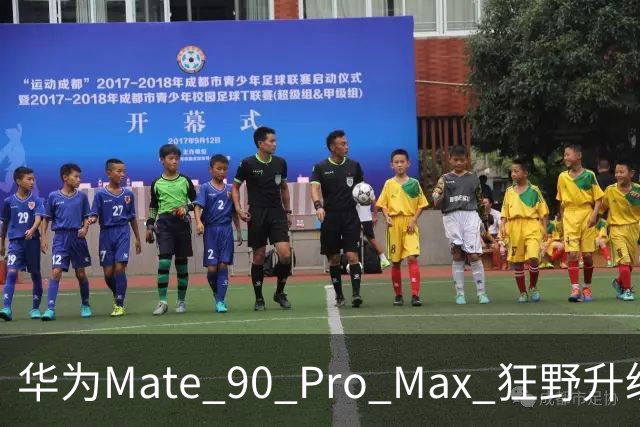 华为Mate 90 Pro Max 狂野升级，科技界炸了锅！