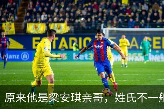 原来他是梁安琪亲哥，姓氏不一般，有实力有背景，是妹妹强大靠山
