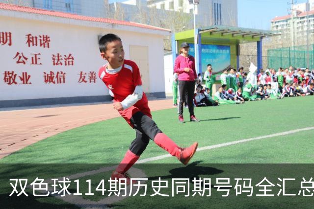 双色球114期历史同期号码全汇总