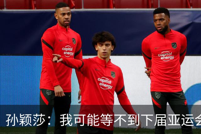 孙颖莎：我可能等不到下届亚运会了