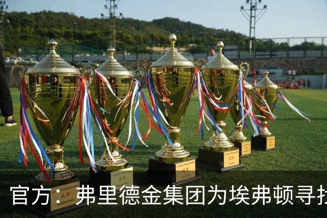 官方：弗里德金集团为埃弗顿寻找新的投资，包括出售俱乐部控股权