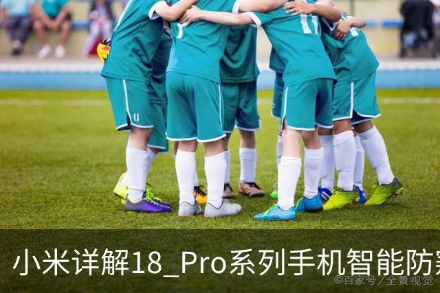 小米详解18 Pro系列手机智能防窥屏：属屏幕硬件技术，支持随时按需开关