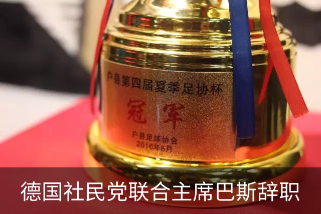 德国社民党联合主席巴斯辞职