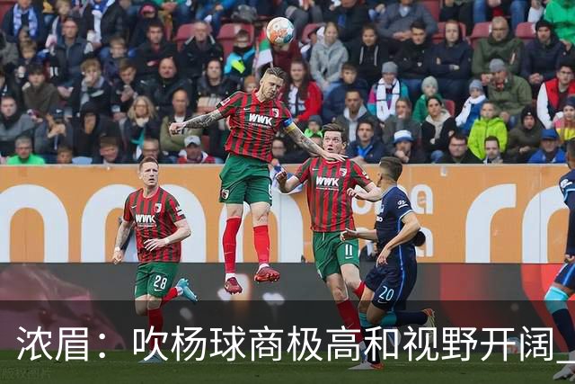 浓眉：吹杨球商极高&视野开阔 只要包夹他就会把你的防守撕碎