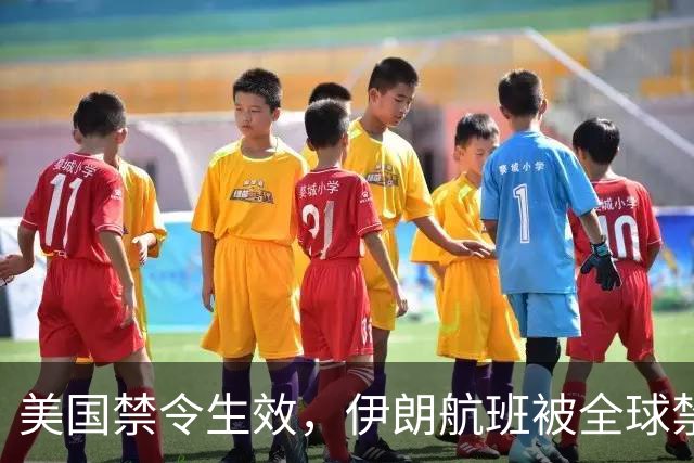 美国禁令生效，伊朗航班被全球禁飞，革命卫队的麻烦大了