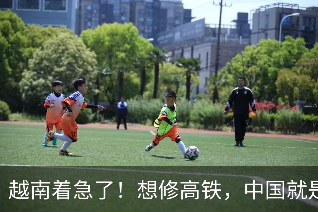 越南着急了！想修高铁，中国就是不出手，无奈只能去找新的冤大头