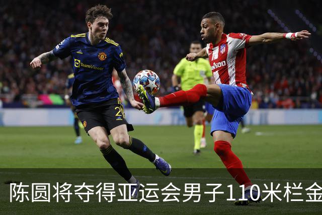 陈圆将夺得亚运会男子110米栏金牌