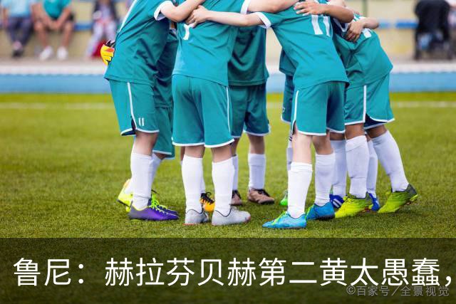 鲁尼：赫拉芬贝赫第二黄太愚蠢，第一张黄牌也判得很严