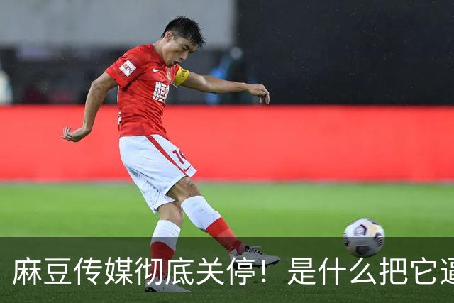 麻豆传媒彻底关停！是什么把它逼上绝路？